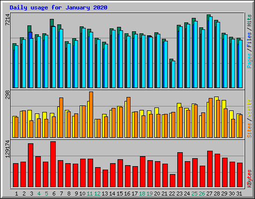 Daily usage for January 2020