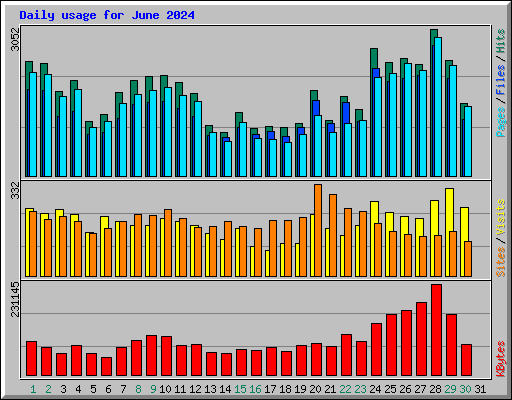 Daily usage for June 2024