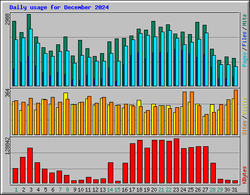 Daily usage for December 2024