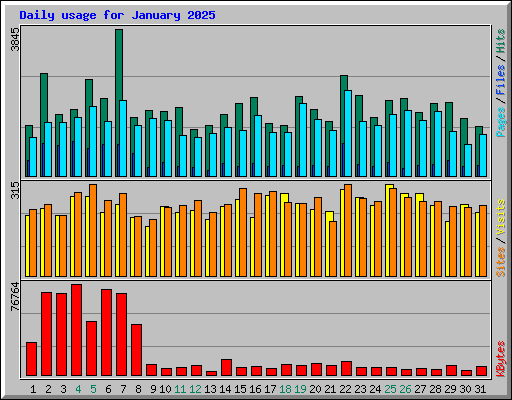 Daily usage for January 2025