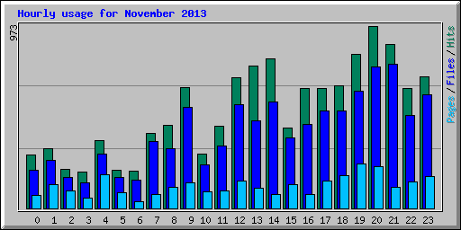 Hourly usage for November 2013