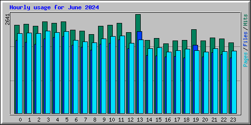 Hourly usage for June 2024