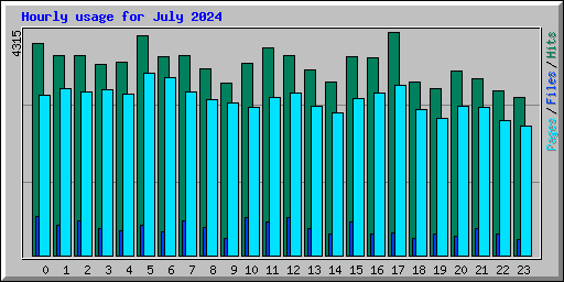 Hourly usage for July 2024