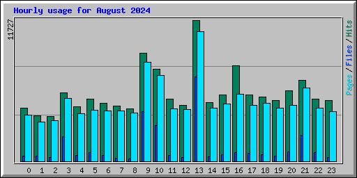 Hourly usage for August 2024