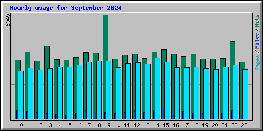 Hourly usage for September 2024