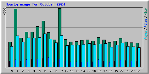 Hourly usage for October 2024