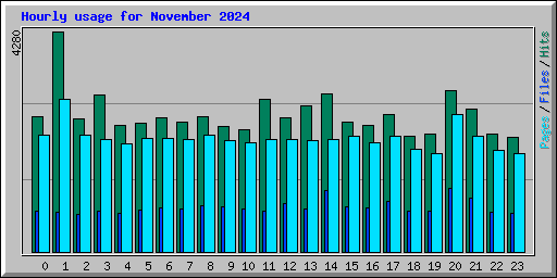 Hourly usage for November 2024