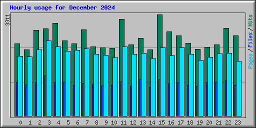 Hourly usage for December 2024
