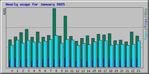 Hourly usage for January 2025