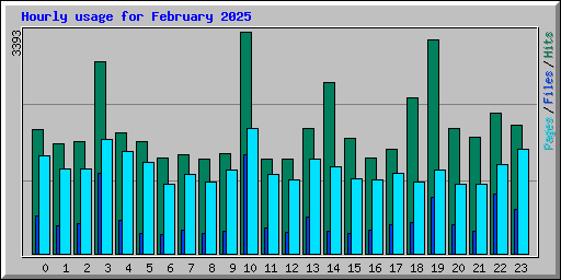 Hourly usage for February 2025