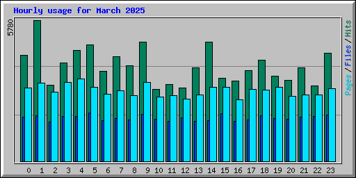 Hourly usage for March 2025