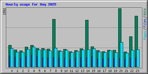 Hourly usage for May 2025