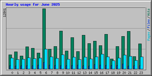 Hourly usage for June 2025