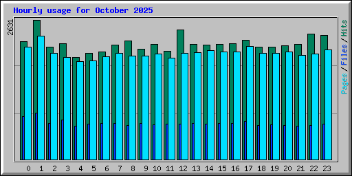 Hourly usage for October 2025