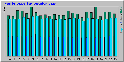 Hourly usage for December 2025
