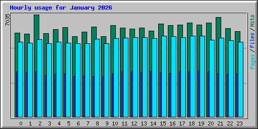Hourly usage for January 2026